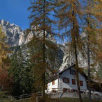 Autunno a Forni di Sopra