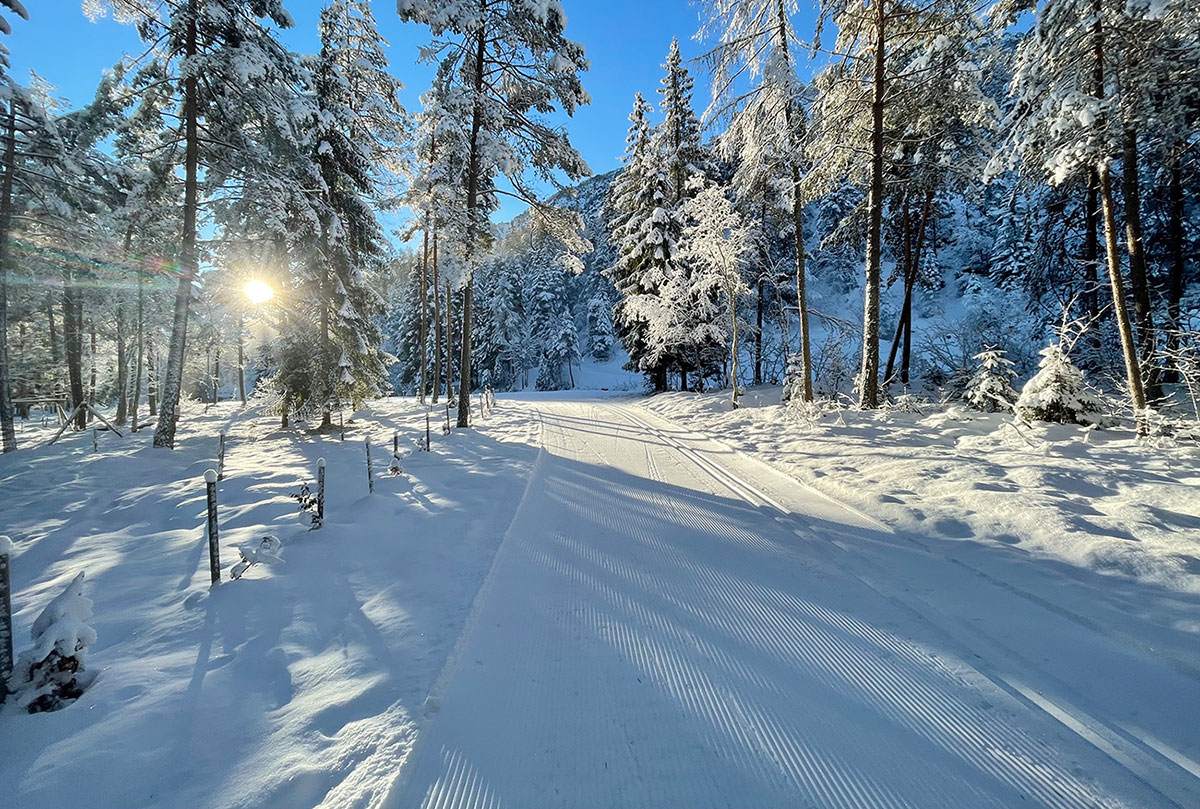 Ski Fondo Forni di Sopra