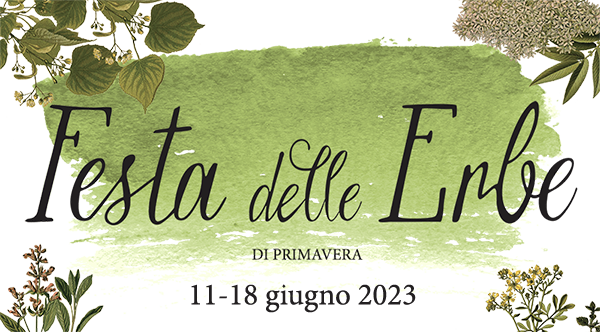 BANNER DEM FESTA ERBE 200x158 copia