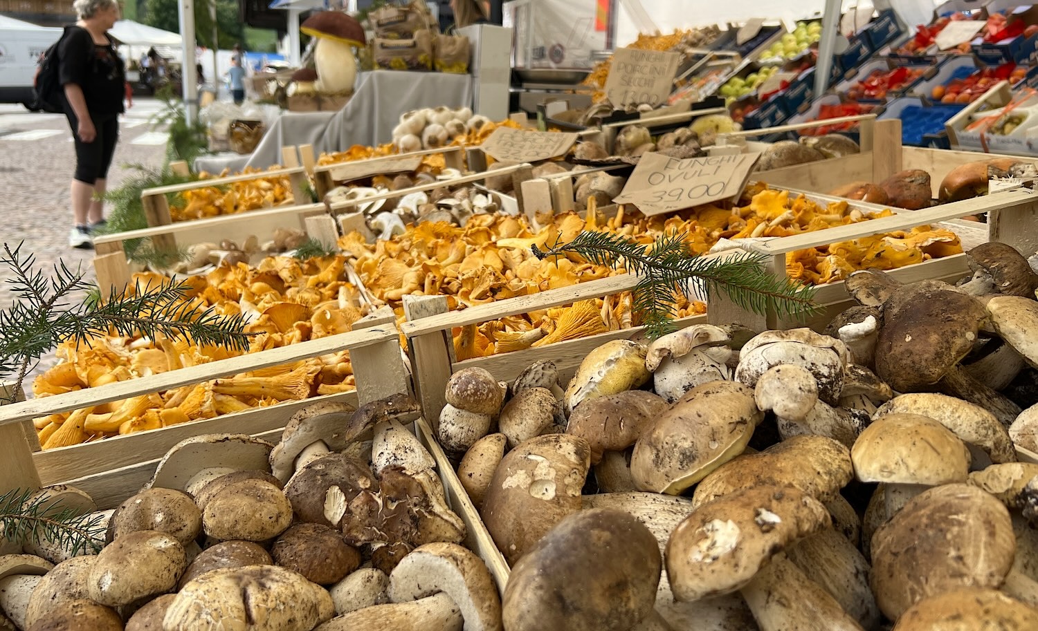 FESTA FUNGHI forni di sopra 