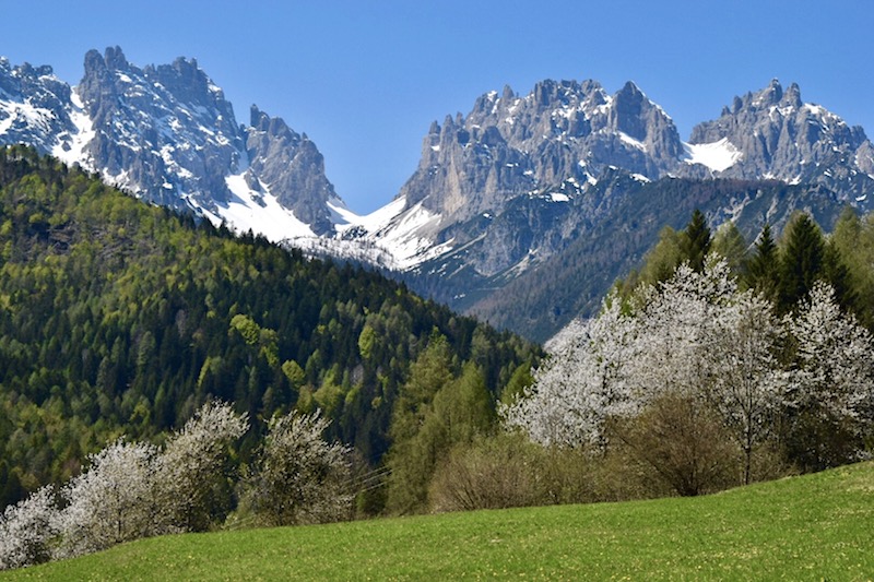 FORCA-SCODAVACCA-PRIMAVERA-forni-di-sopra