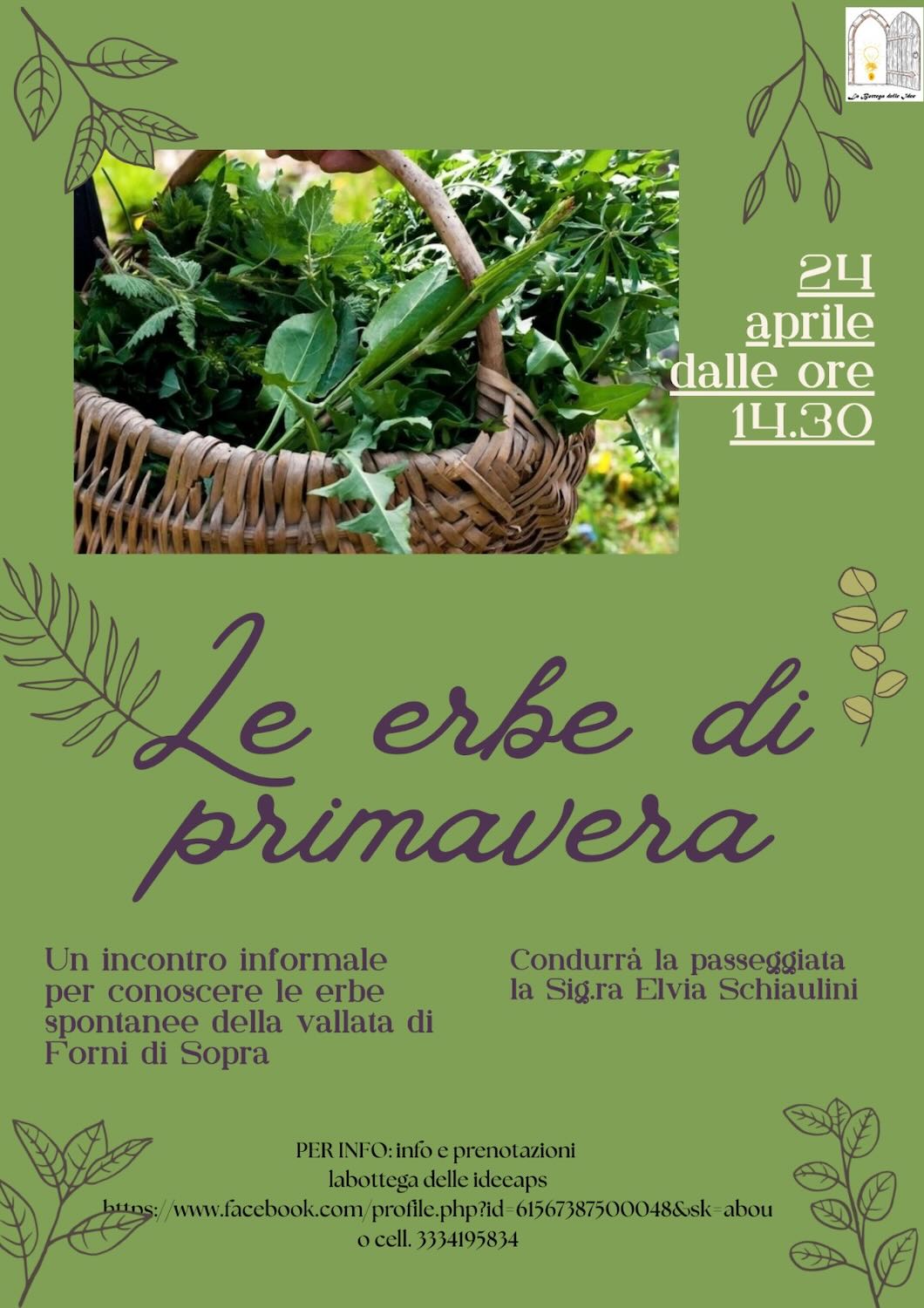 Le erbe di primavera