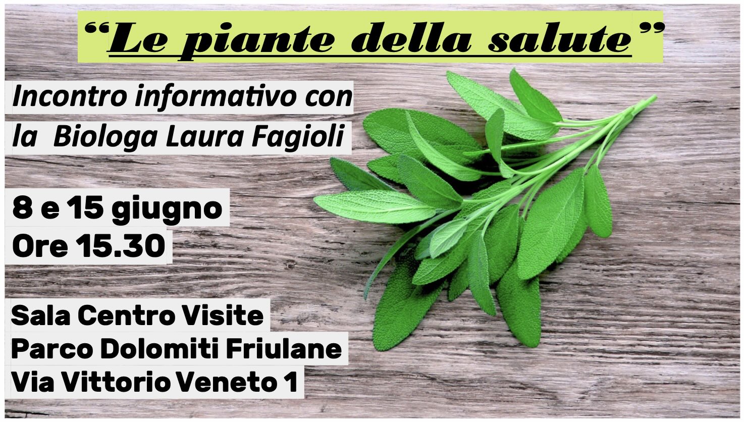 Le piante della Salute