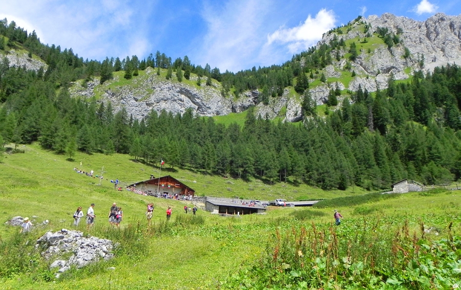 MALGA TARTOI Forni di Sopra