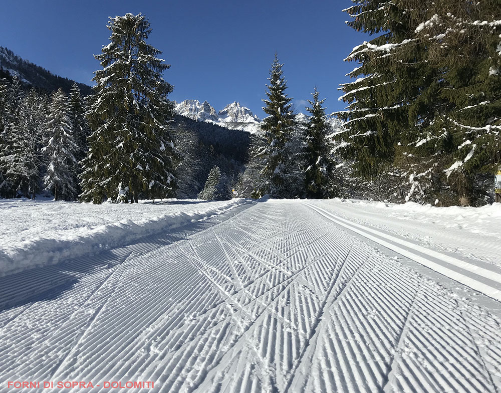 PISTA FONDO FORNI di sopra dk6553