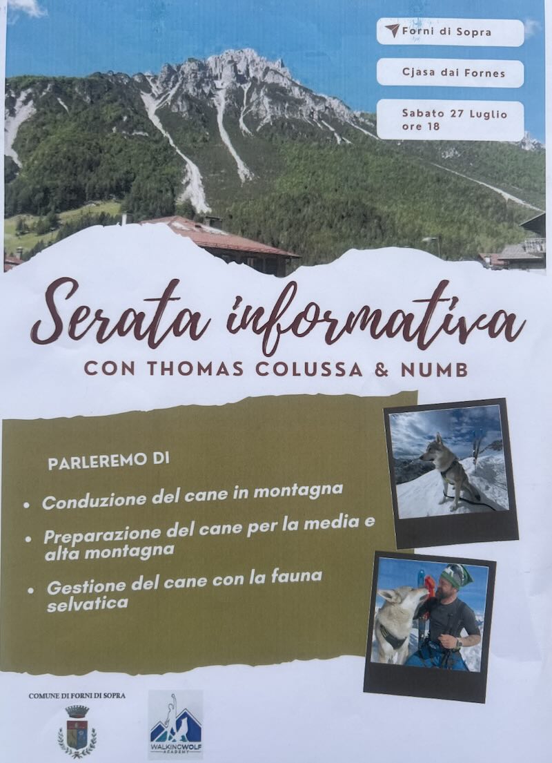 SERATA INFORMATIVA CANI
