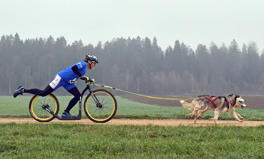 alessio del fabbro sleddog