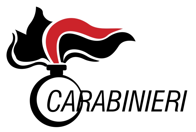 arma-dei-carabinieri-logo-png-transparent