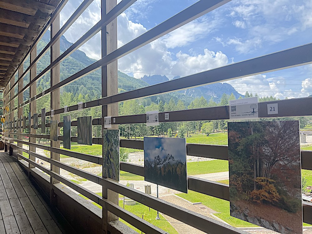 ciasa fornes mostra