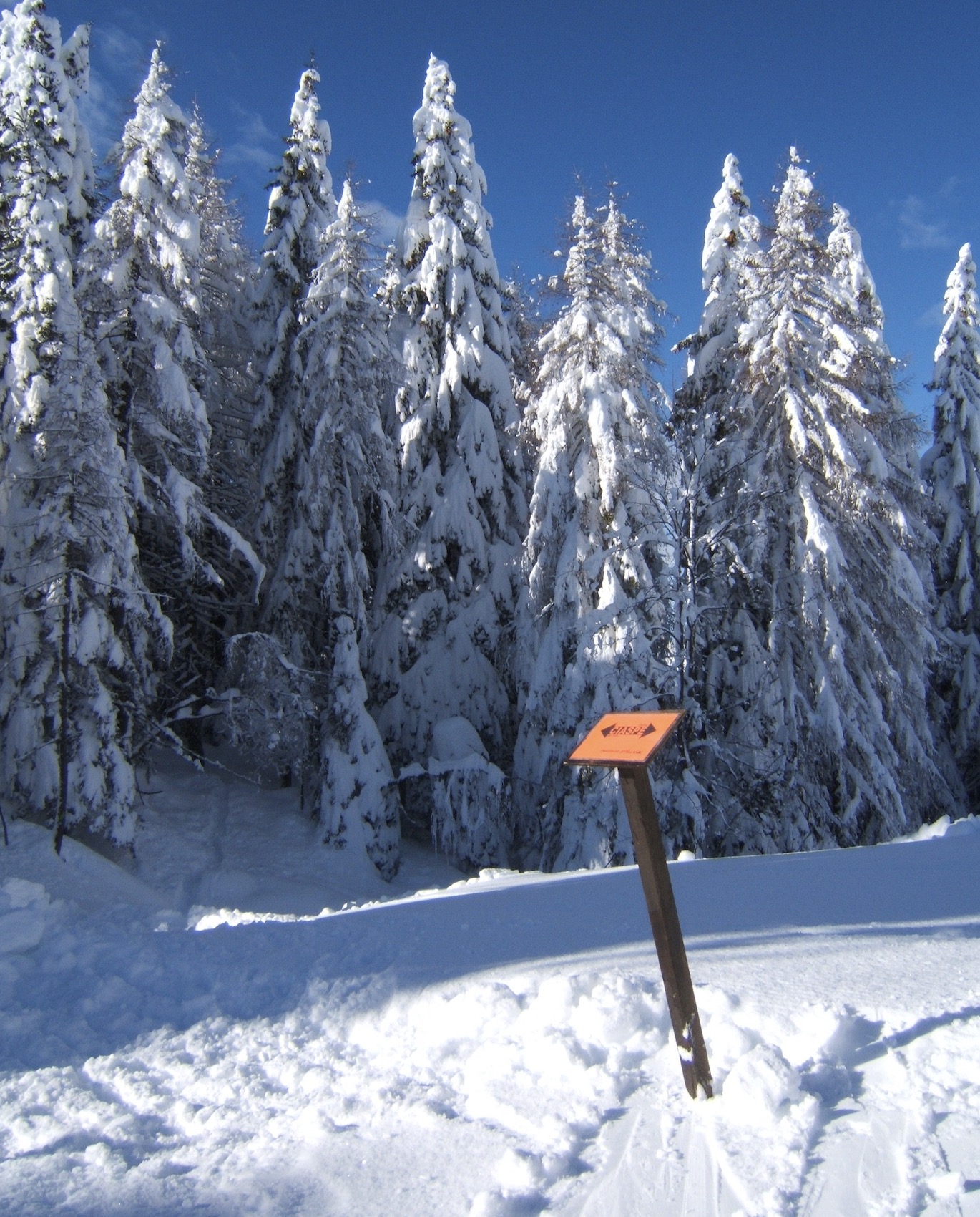 ciaspe-forni-di-sopra