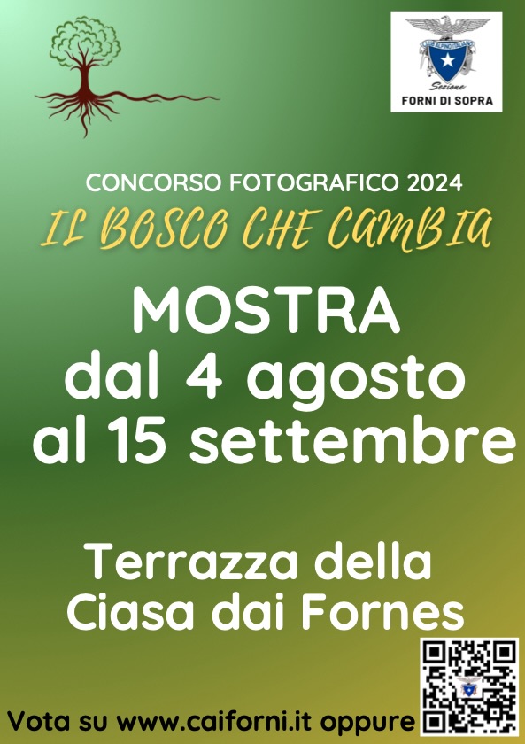 concorso fotografico 2024