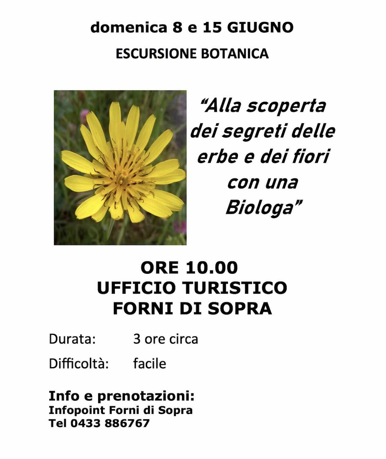 escursione botanica fagioli