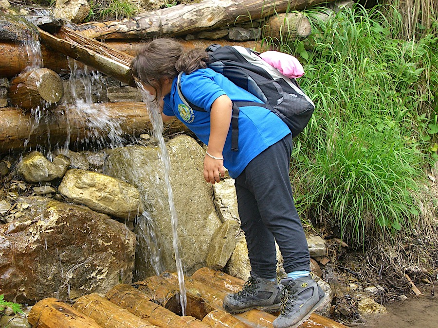 escursione naturalistica forni di sopra