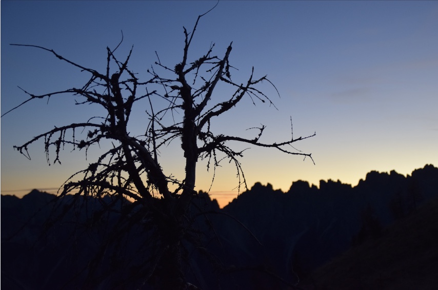 escursione-tramonto-forni-di-sopra-dolomiti-22476