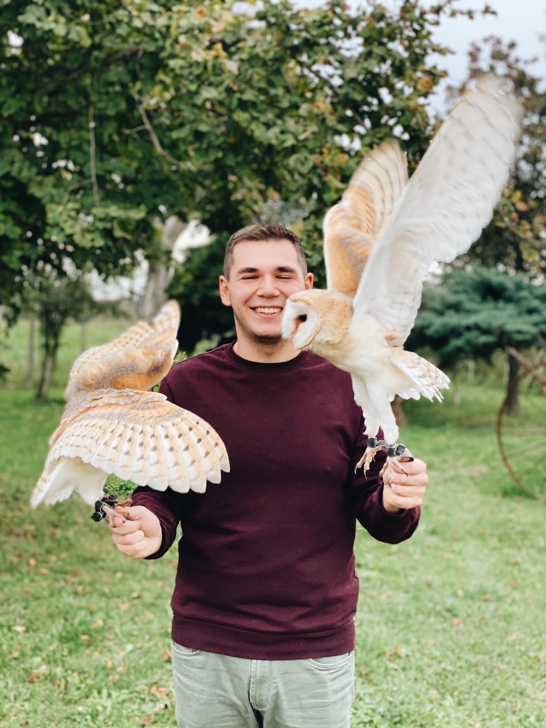 falconeria didattica festa funghi giuffrida