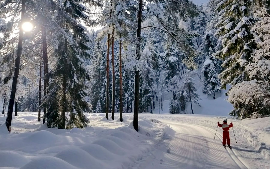 fornidisopra-dolomites-ski-fondo-lkape986