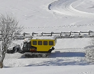 gatto bus skibus fornidisopra
