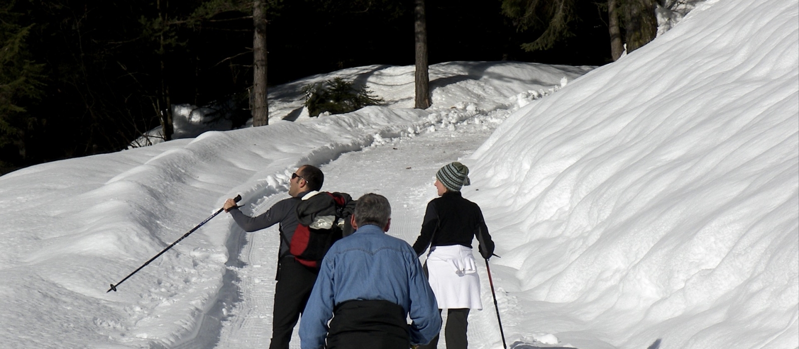 ciaspolata-malga-tartoi-forni-di-sopra-2020