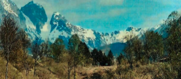 gita-cai