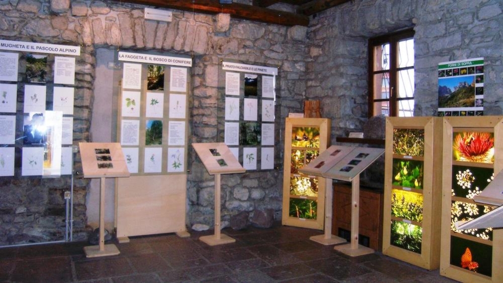 Parco-dolomiti-friulane-centro-visite-forni-di-sopra