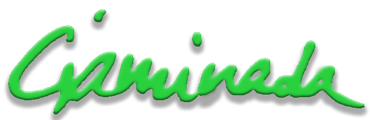 logo ciaminada corsivo