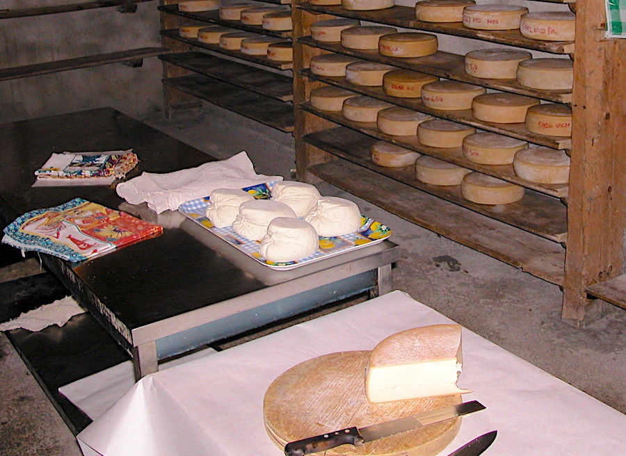 malga varmost prodotti