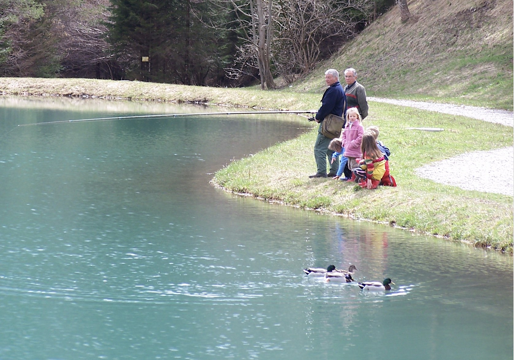 pesca forni di sopra dolomiti