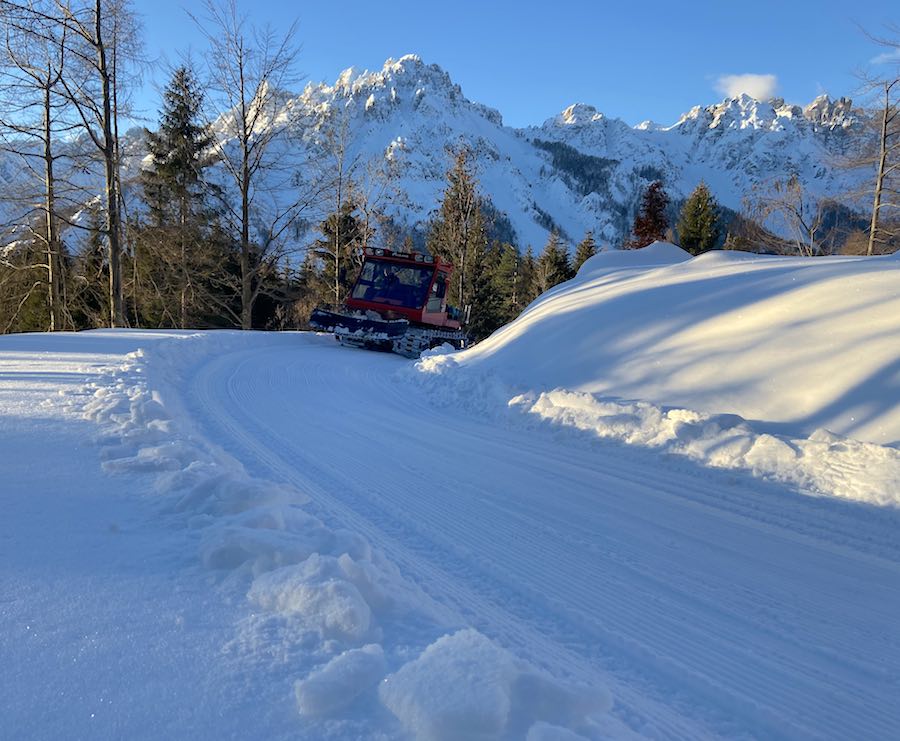 piste forestali malghe tartoi tragonia