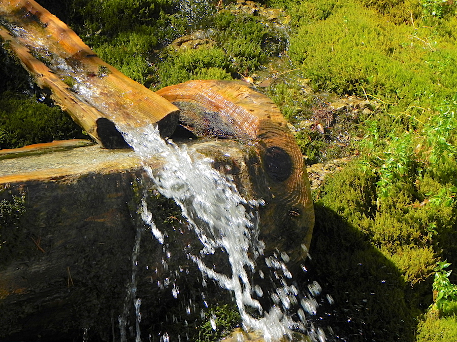 sorgente fontana alpina forni di sopra