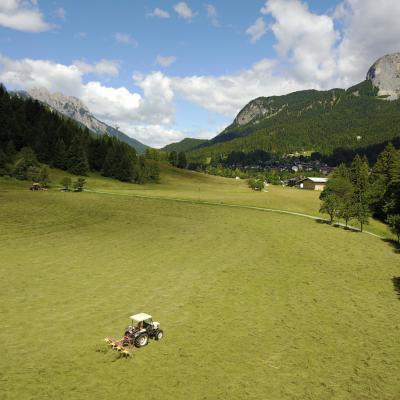 Forni Di Sopra Dolomiti Summer 278