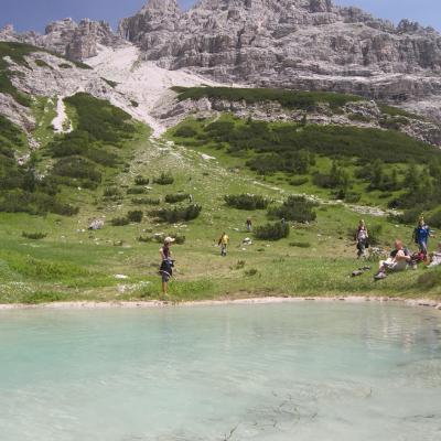 Forni Di Sopra Dolomiti Summer 280