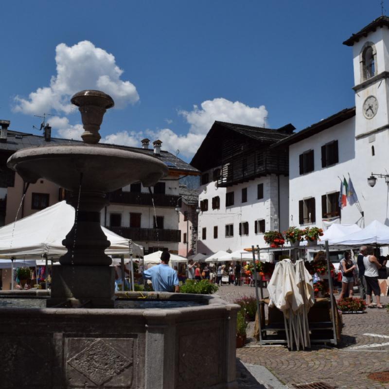 Forni Di Sopra Dolomiti Summer 286