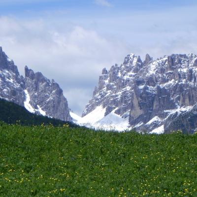 Forni Di Sopra Dolomiti Spring 112