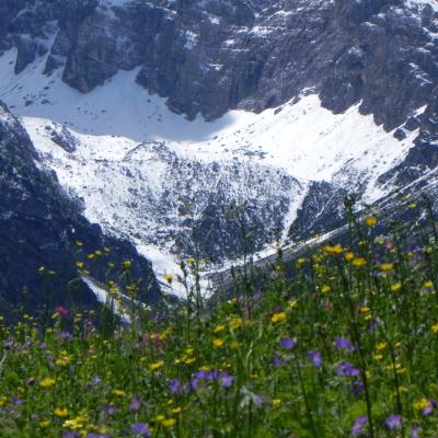Forni Di Sopra Dolomiti Spring 115