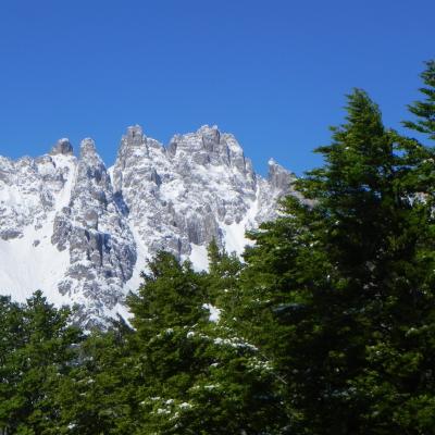 Forni Di Sopra Dolomiti Spring 121