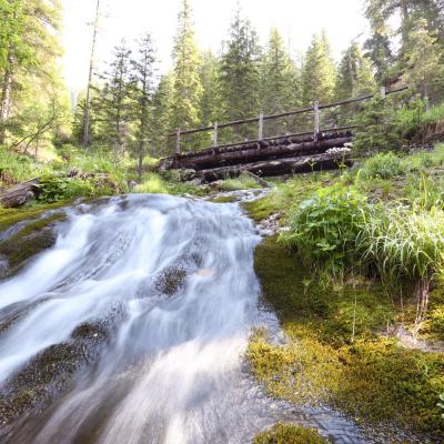 Forni Di Sopra Dolomiti Spring 122