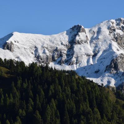 Forni Di Sopra Dolomiti Spring 123