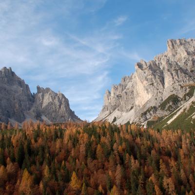 Forni Di Sopra Dolomiti Autumn 294