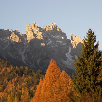 Forni Di Sopra Dolomiti Autumn 296