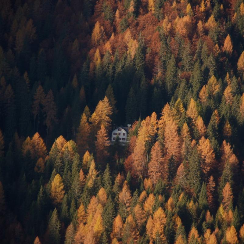 Forni Di Sopra Dolomiti Autumn 297