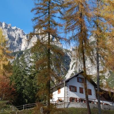 Forni Di Sopra Dolomiti Autumn 298