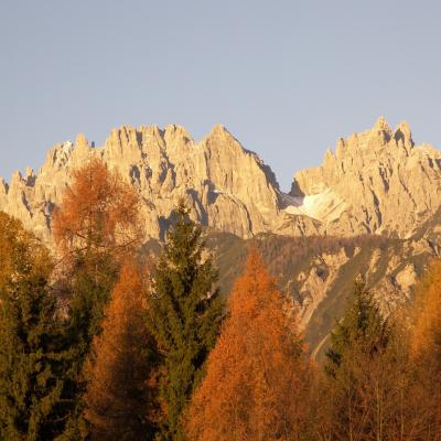 Forni Di Sopra Dolomiti Autumn 302