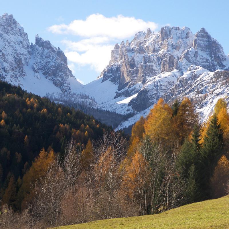 Forni Di Sopra Dolomiti Autumn 304