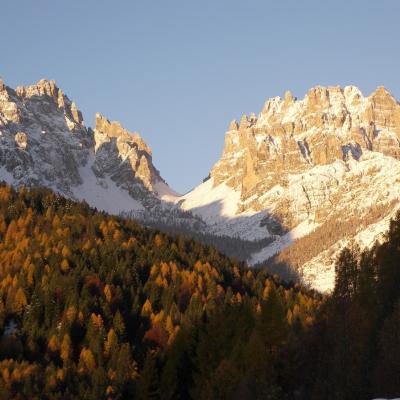 Forni Di Sopra Dolomiti Autumn 306