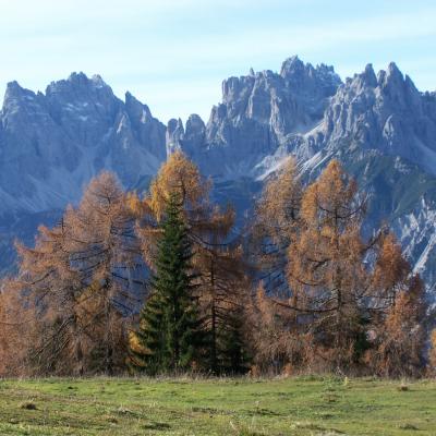 Forni Di Sopra Dolomiti Autumn 307