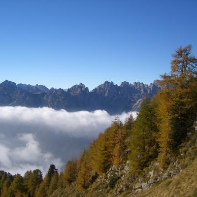 Forni Di Sopra Dolomiti Autumn 311