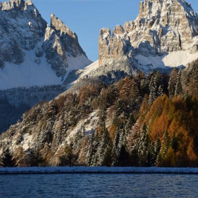 Forni Di Sopra Dolomiti Autumn 312