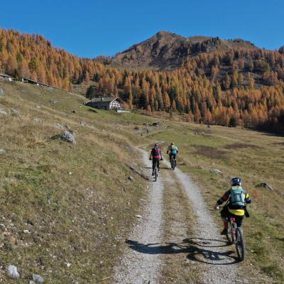 Forni Di Sopra Dolomiti Autumn 313