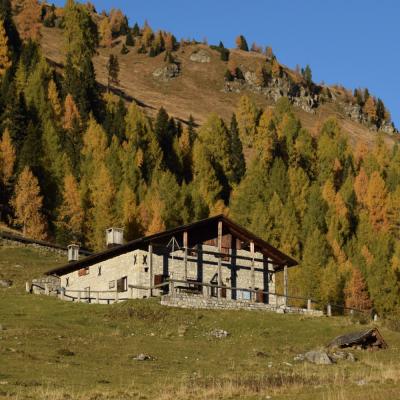 Forni Di Sopra Dolomiti Autumn 315