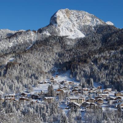 Forni Di Sopra Dolomiti Winter 134